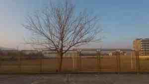 سایه بی توجهی بر سرِ زمین چمن فوتبال جلفا