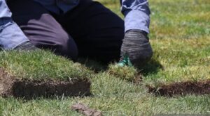 خشک شدن چمن ورزشگاه یادگار بی‌ اساس است/ چمن دوم کاشته شد